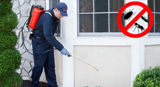 Çeşmealtı Böcek ve Haşere İlaçlama böcek ilaçlama ve haşere kontrolü — ilaclama-tr.com